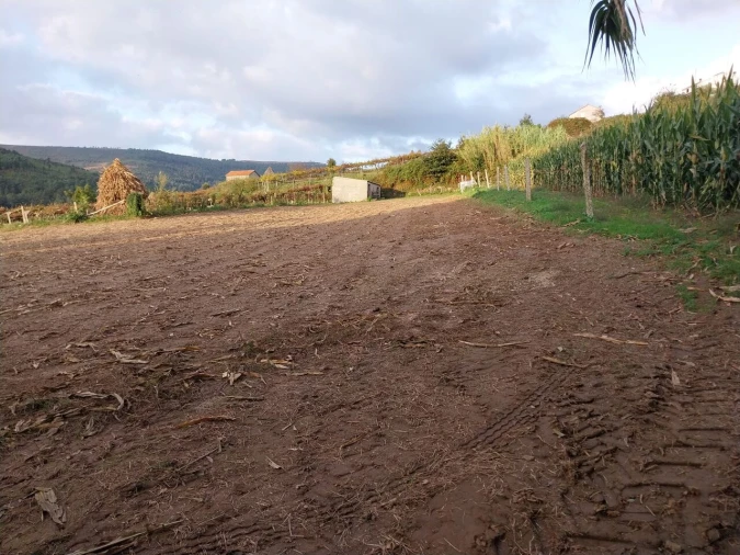 Terreno para Venda em Riba de Mouro Foto 4