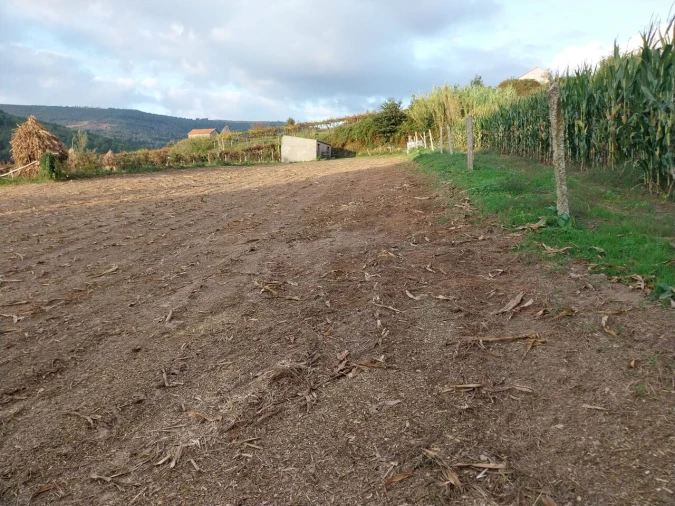 Terreno para Venda em Riba de Mouro Foto 8