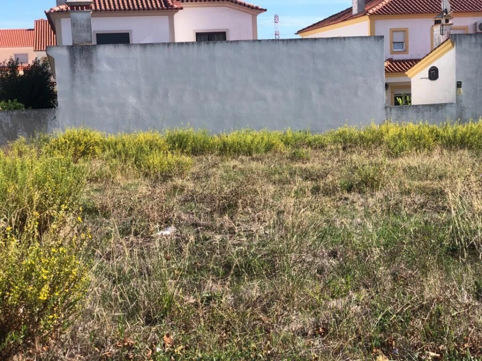 Terreno para Venda em Meia Via Foto 4