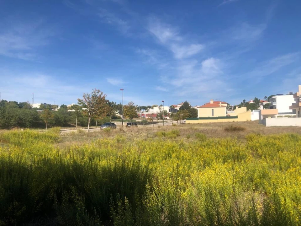 Terreno para Venda em Meia Via Foto 6