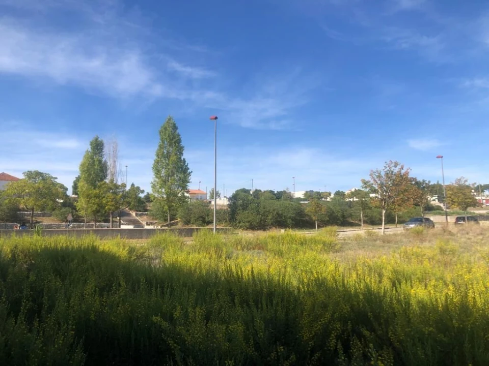 Terreno para Venda em Meia Via Foto 8