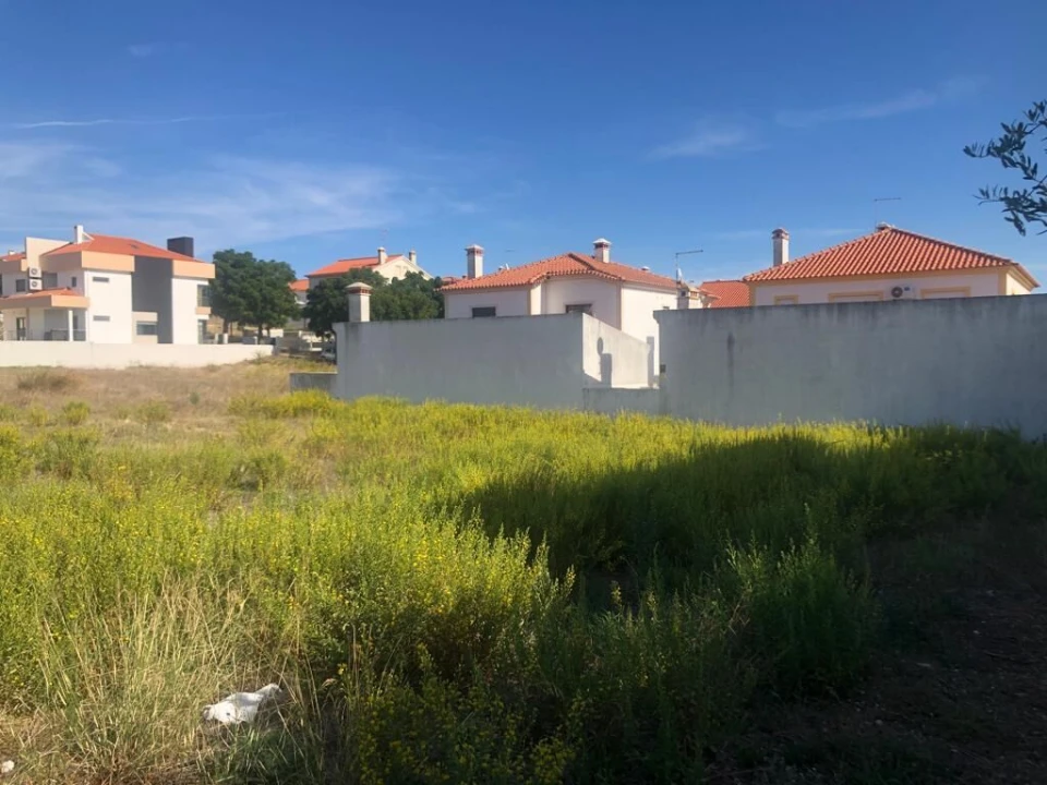 Terreno para Venda em Meia Via Foto 10