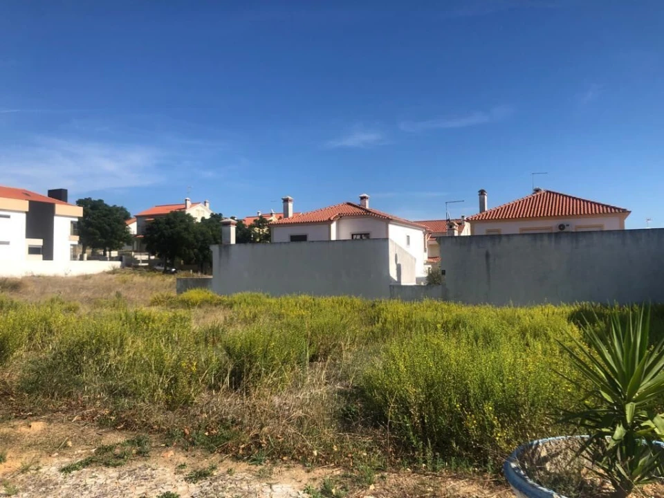 Terreno para Venda em Meia Via Foto 11