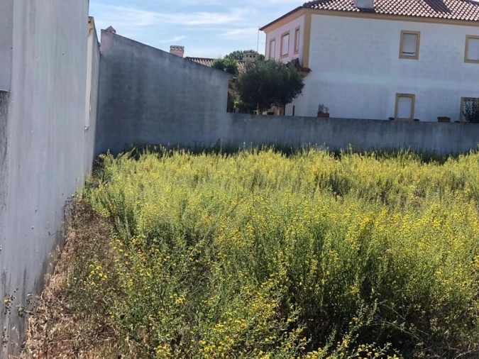 Terreno para Venda em Meia Via Foto 2