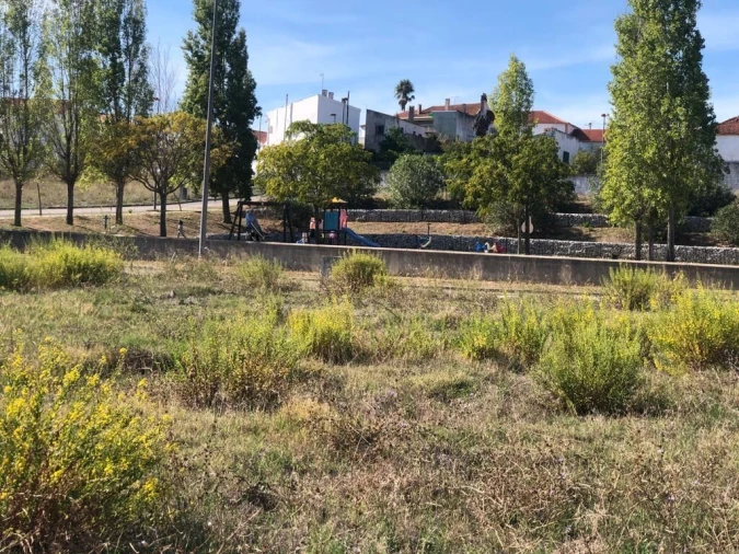 Terreno para Venda em Meia Via Foto 3