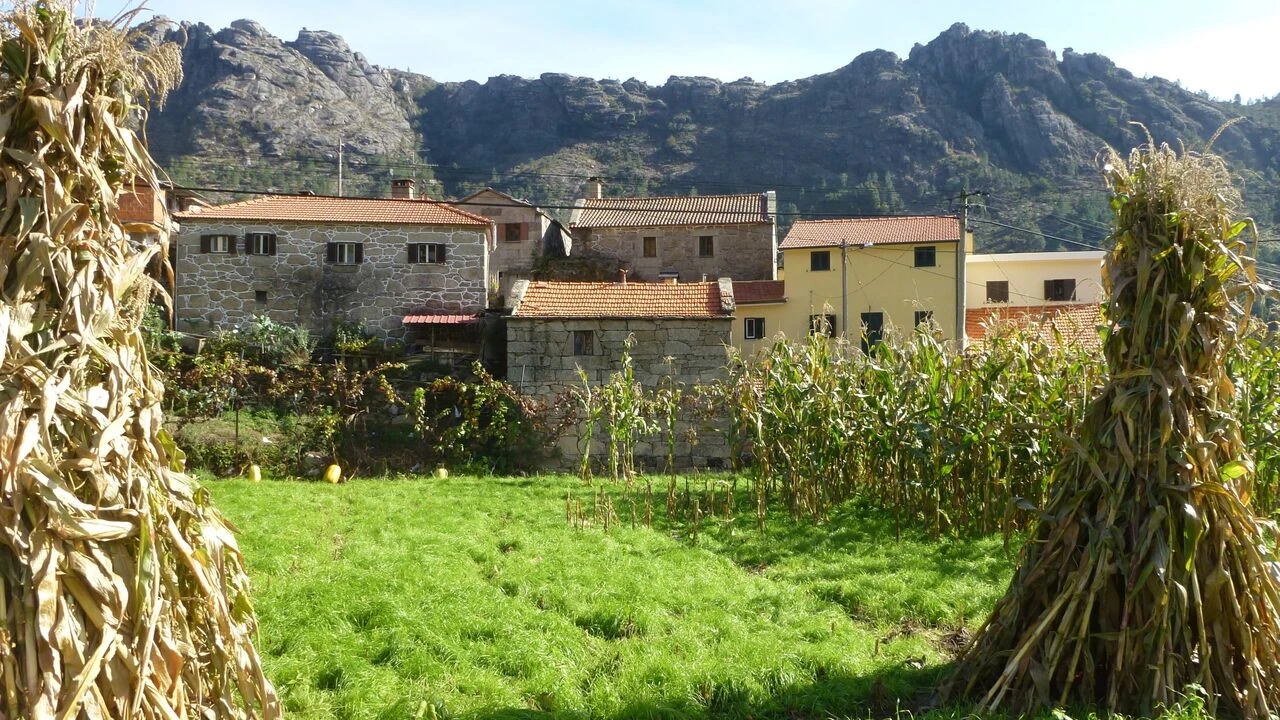 Moradia T3 para Venda em Gavieira Foto 2