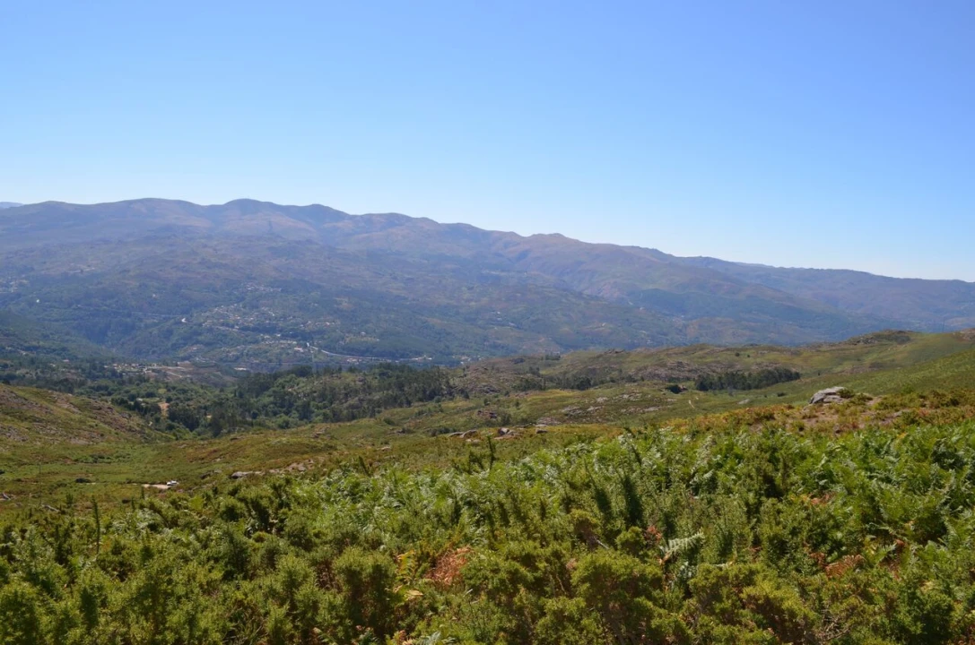 Moradia T3 para Venda em Gavieira Foto 19