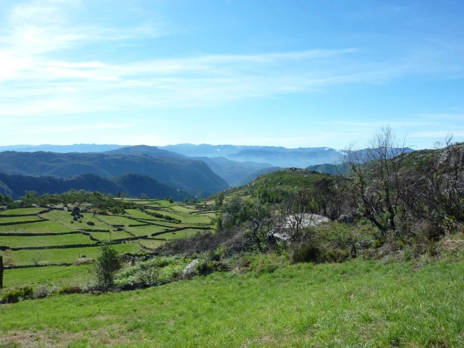 Moradia T3 para Venda em Gavieira Foto 17