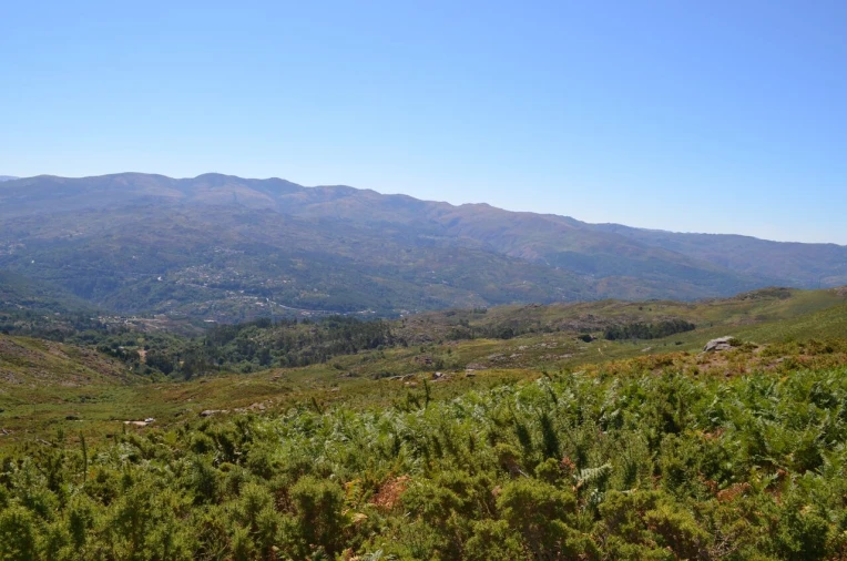 Moradia T3 para Venda em Gavieira Foto 19