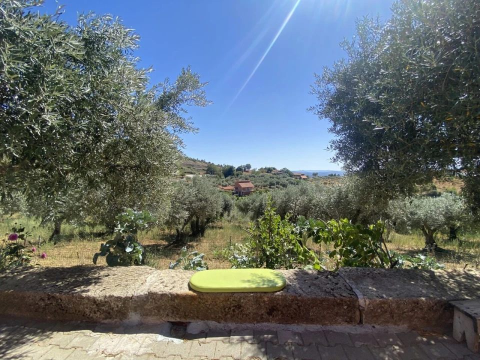 Quinta T2 para Venda em Cortiços Foto 4