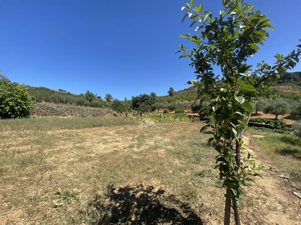 Quinta T2 para Venda em Cortiços Foto 8