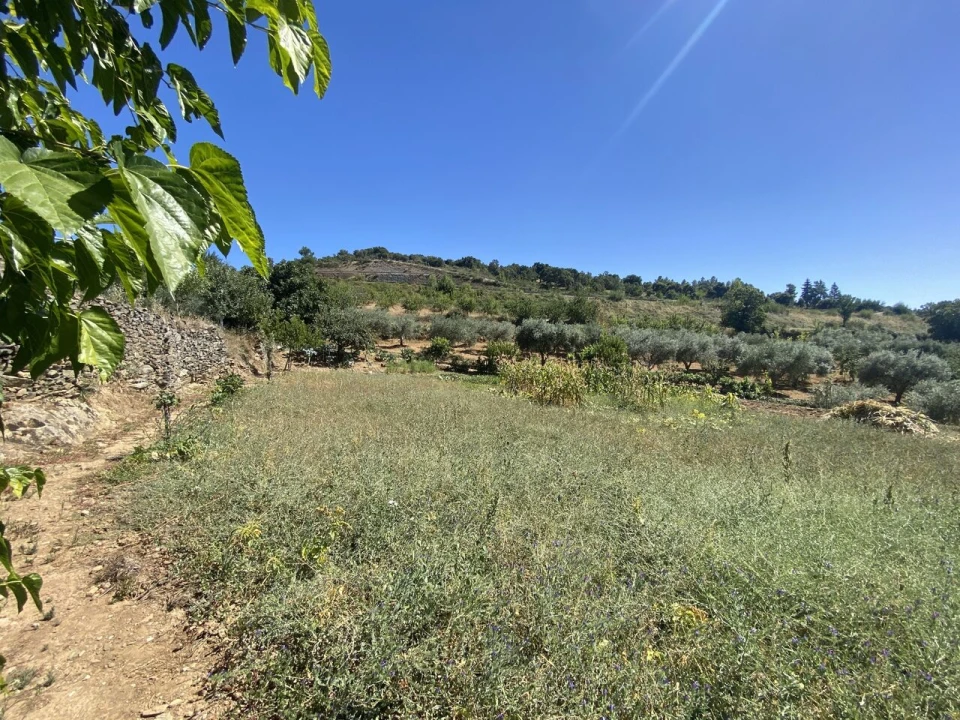 Quinta T2 para Venda em Cortiços Foto 9