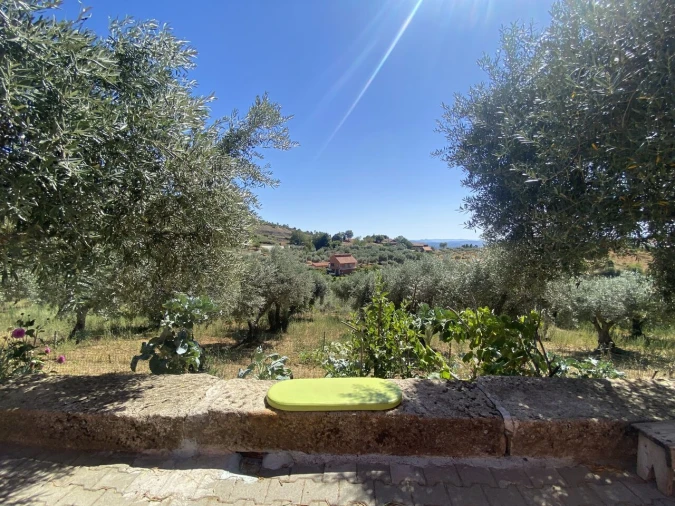 Quinta T2 para Venda em Cortiços Foto 4