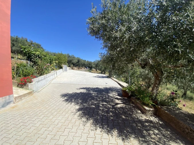 Quinta T2 para Venda em Cortiços Foto 5