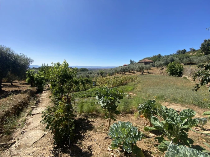 Quinta T2 para Venda em Cortiços Foto 12