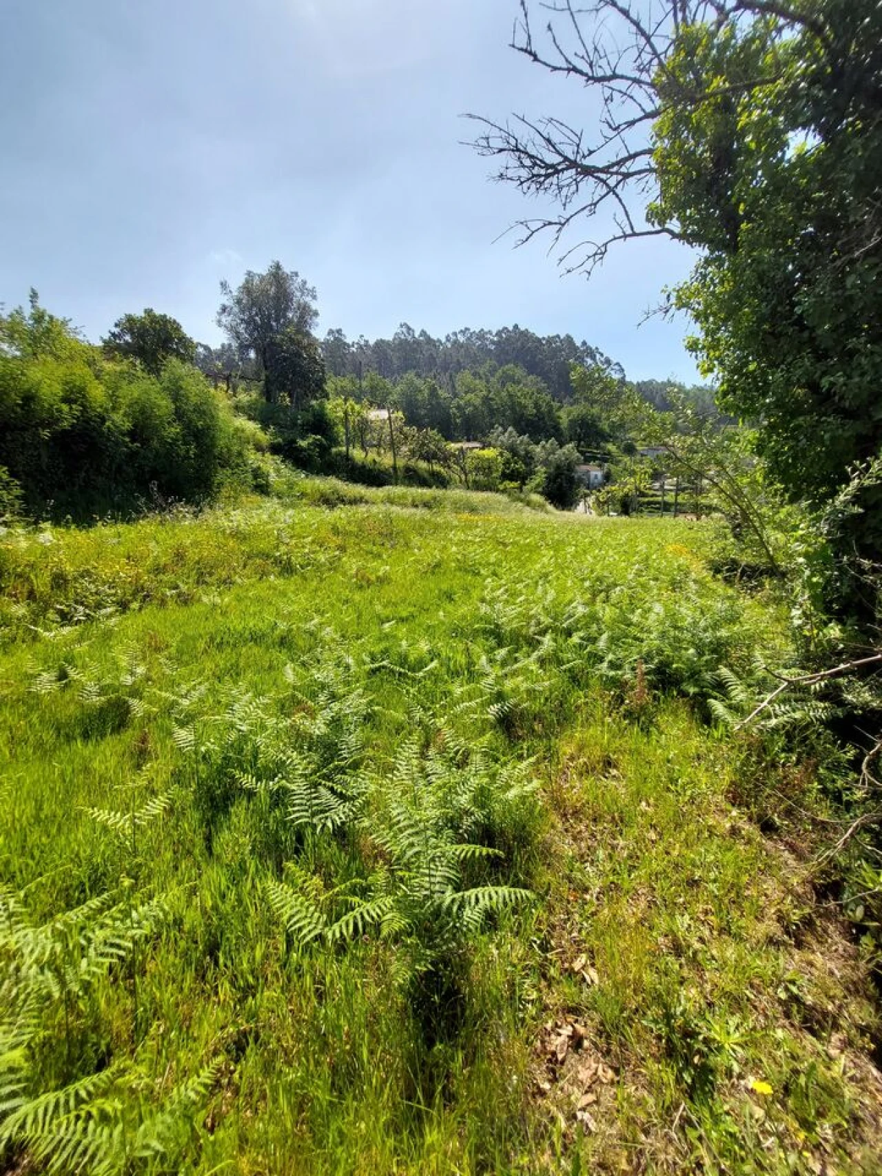 Terreno para Venda em Sabadim Foto 3
