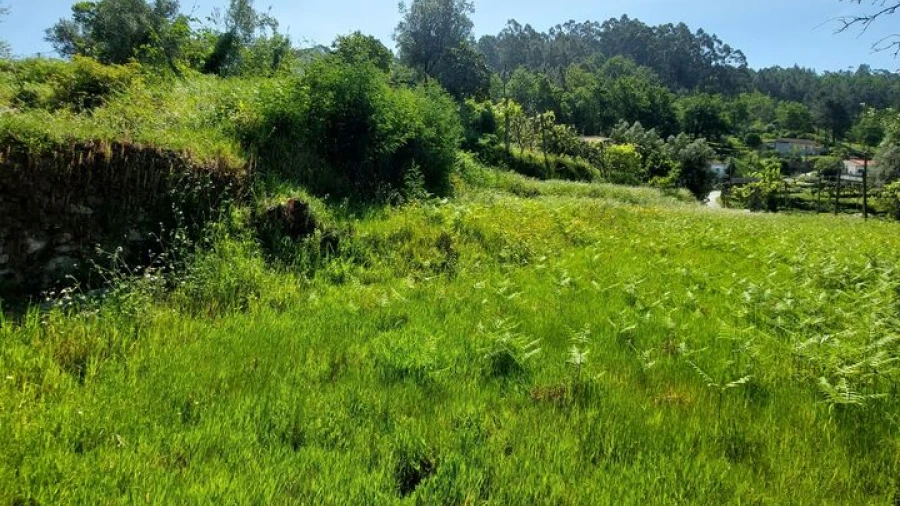 Terreno para Venda em Sabadim