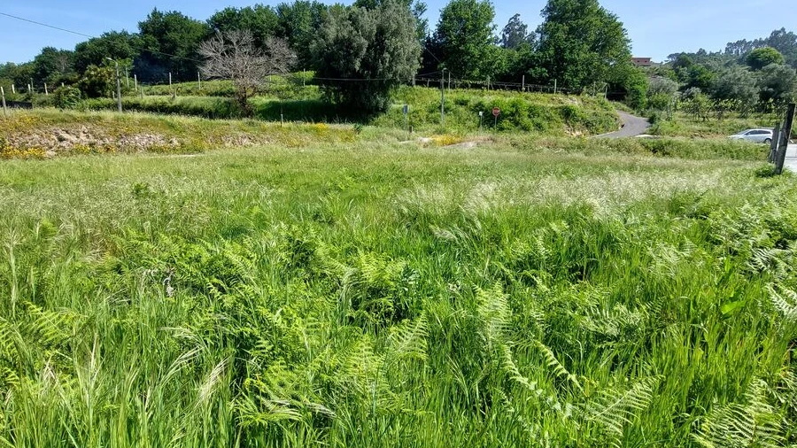 Terreno para Venda em Couto