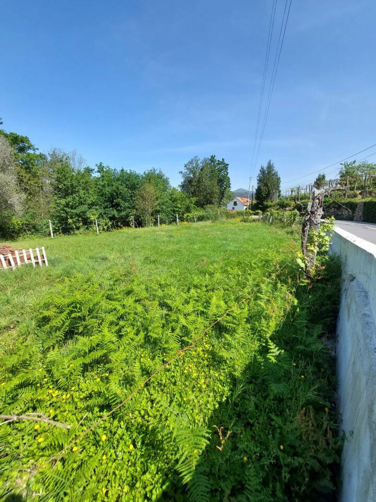 Terreno para Venda em Couto Foto 2