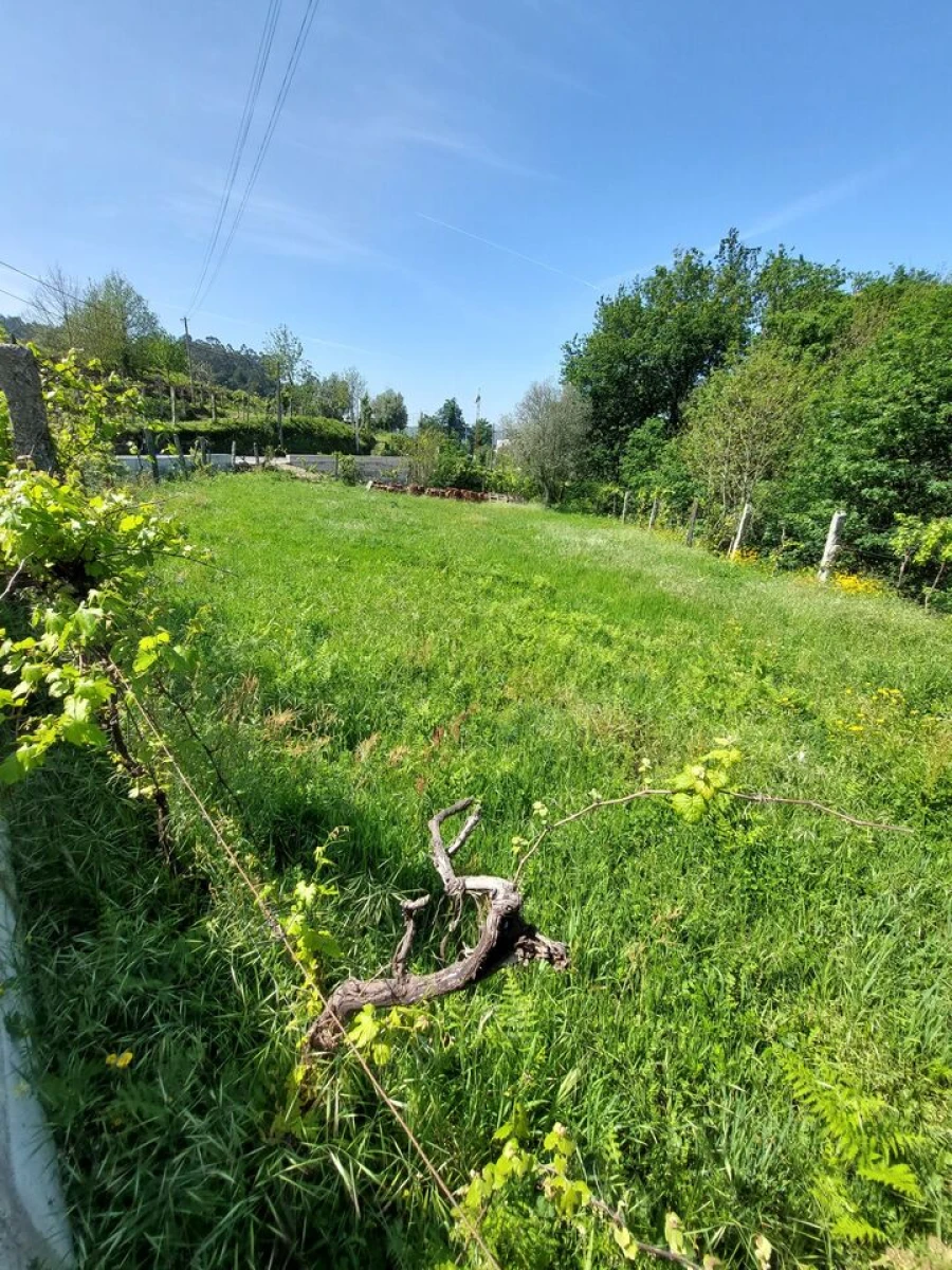 Terreno para Venda em Couto Foto 3