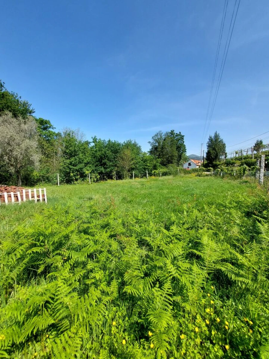 Terreno para Venda em Couto Foto 4