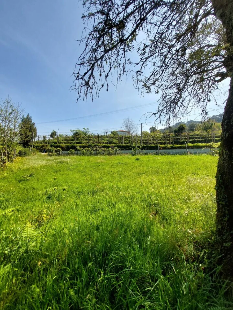 Terreno para Venda em Couto Foto 5