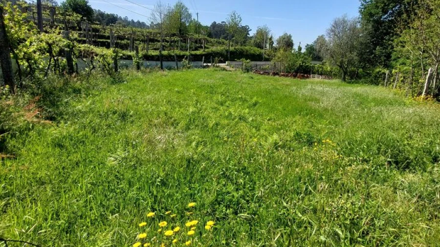 Terreno para Venda em Couto