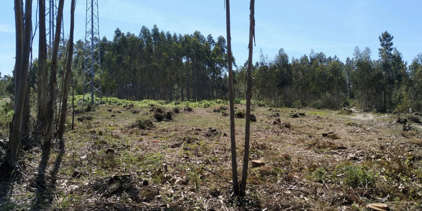 Terreno para Venda em Marinha Grande Foto 4
