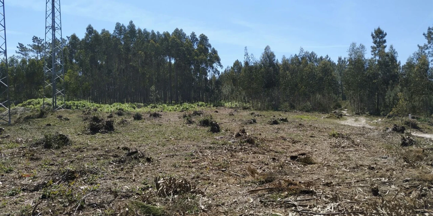 Terreno para Venda em Marinha Grande Foto 5