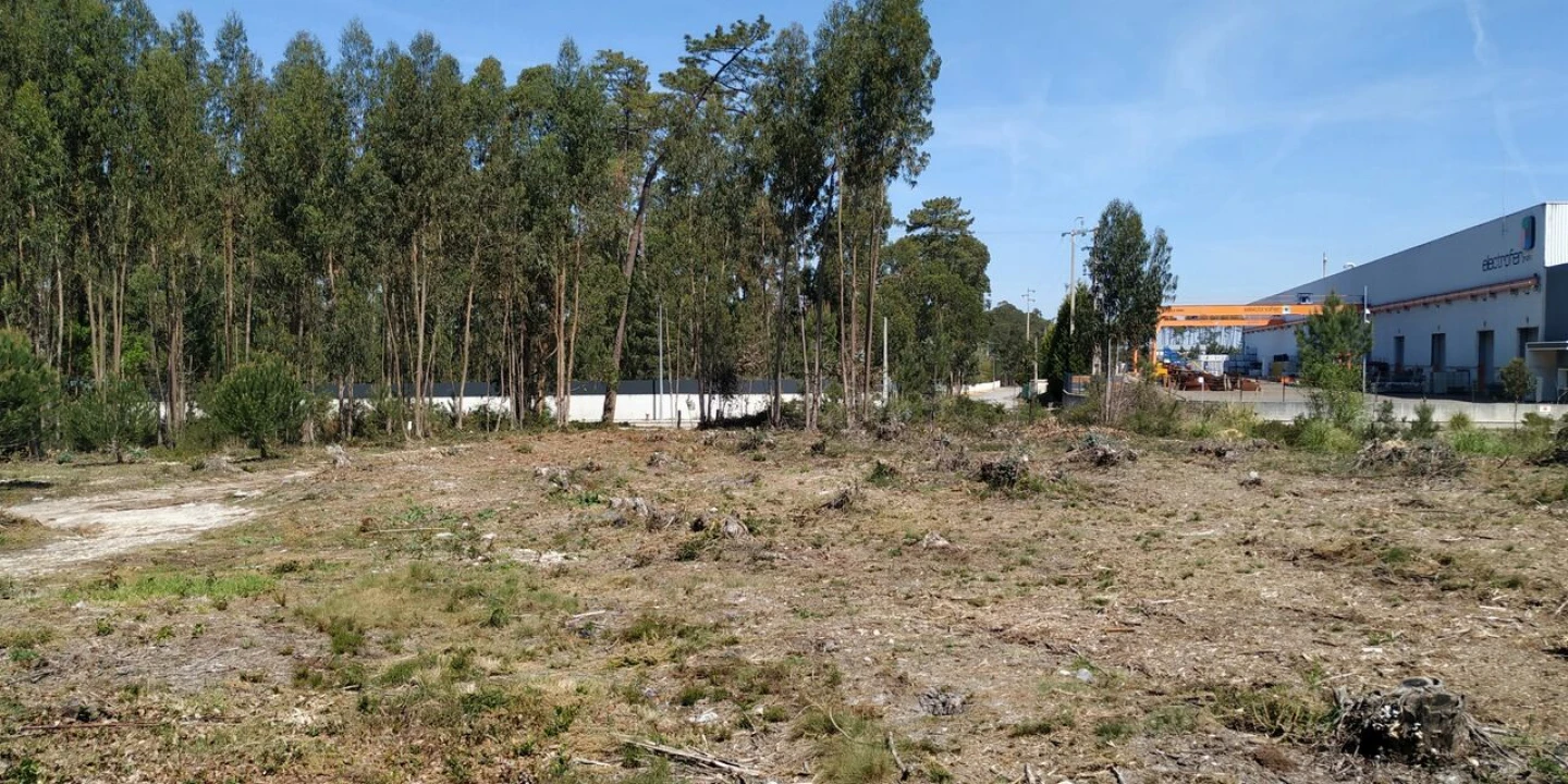 Terreno para Venda em Marinha Grande Foto 7