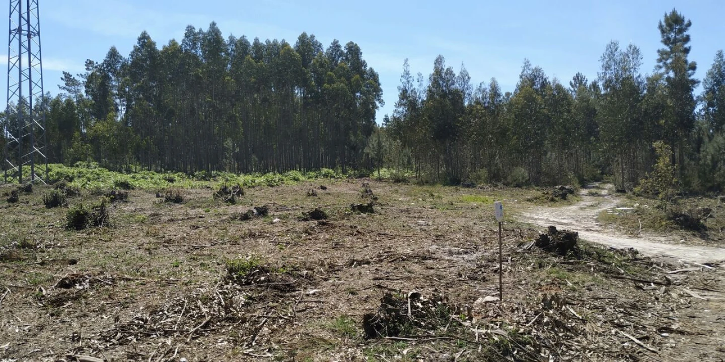 Terreno para Venda em Marinha Grande Foto 8