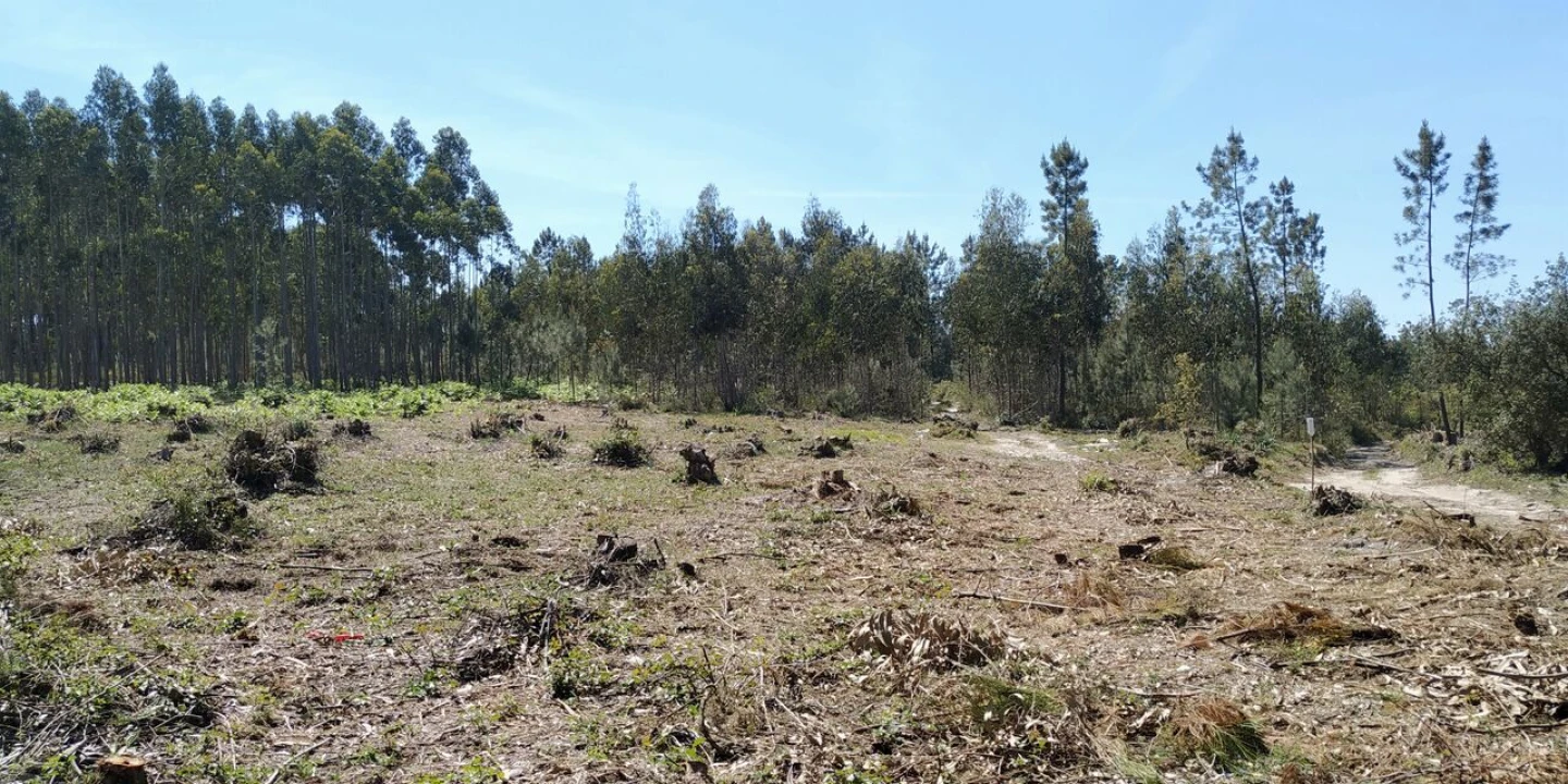 Terreno para Venda em Marinha Grande Foto 2