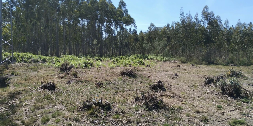 Terreno para Venda em Marinha Grande Foto 3