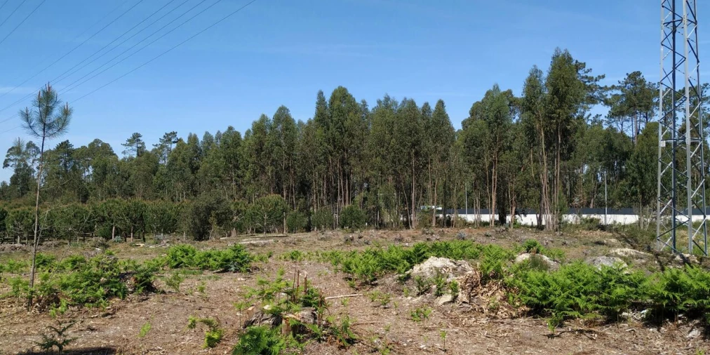 Terreno para Venda em Marinha Grande Foto 6