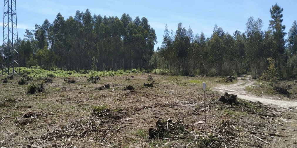 Terreno para Venda em Marinha Grande Foto 8