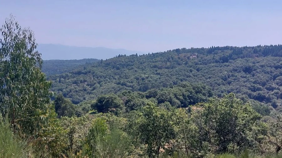 Terreno para Venda em Rio Frio