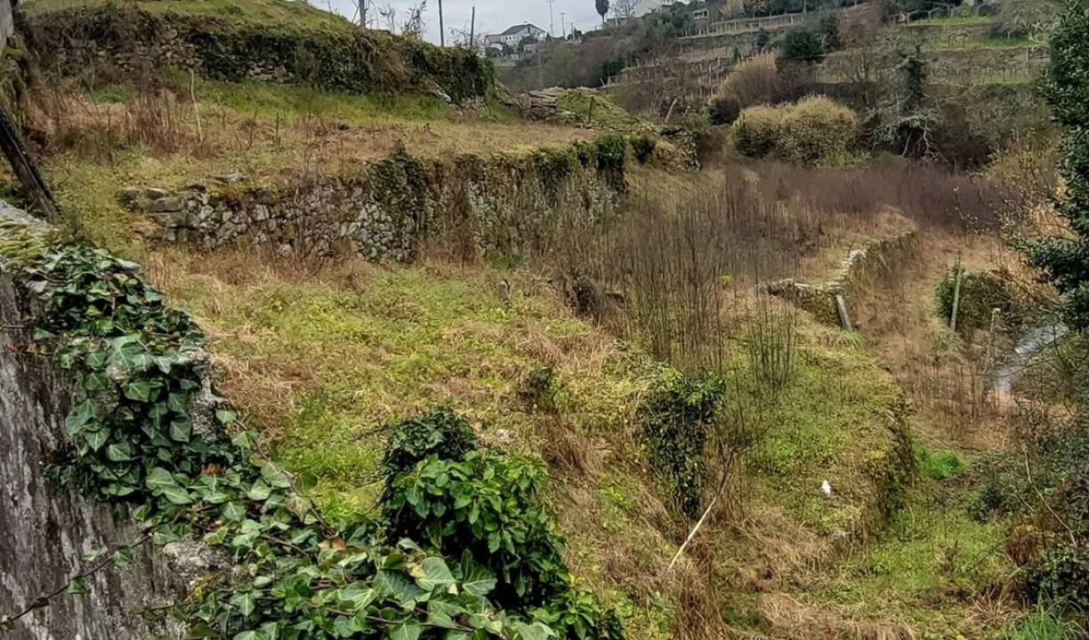 Terreno para Venda em Paderne Foto 3