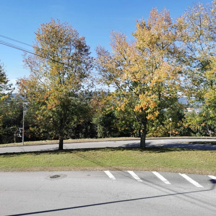 Terreno para Venda em Ponte Foto 4