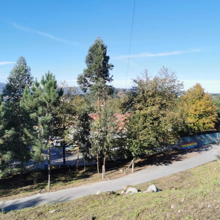 Terreno para Venda em Ponte Foto 7