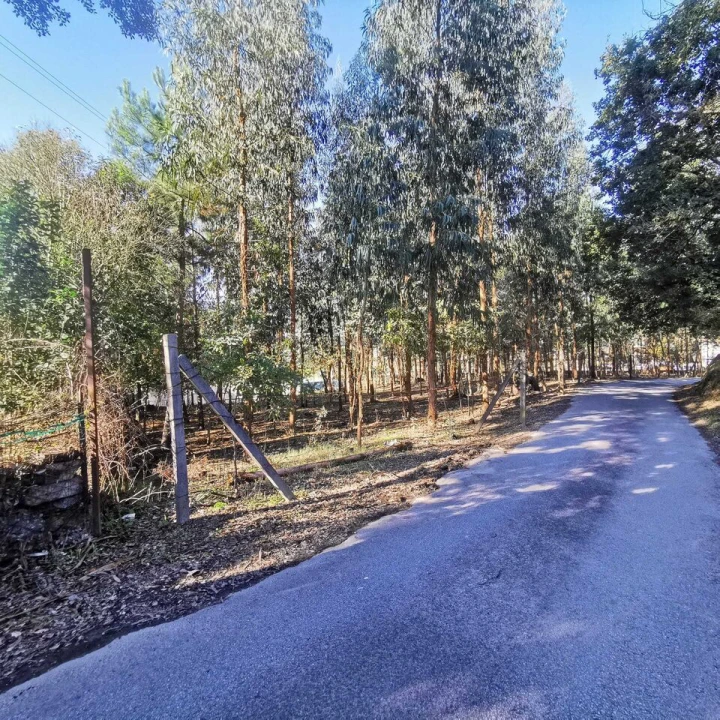 Terreno para Venda em Ponte Foto 8