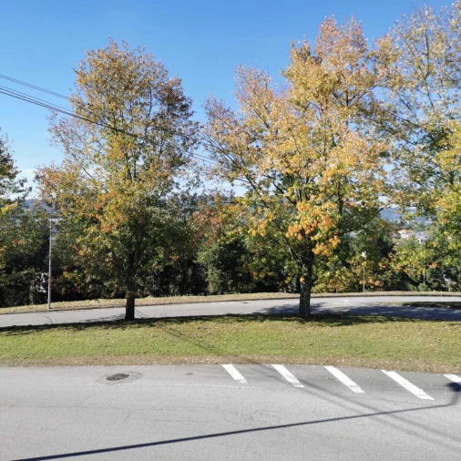 Terreno para Venda em Ponte Foto 4