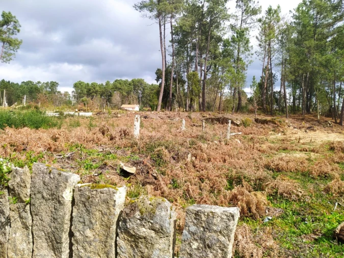 Terreno para Venda em Pinheiros Foto 3