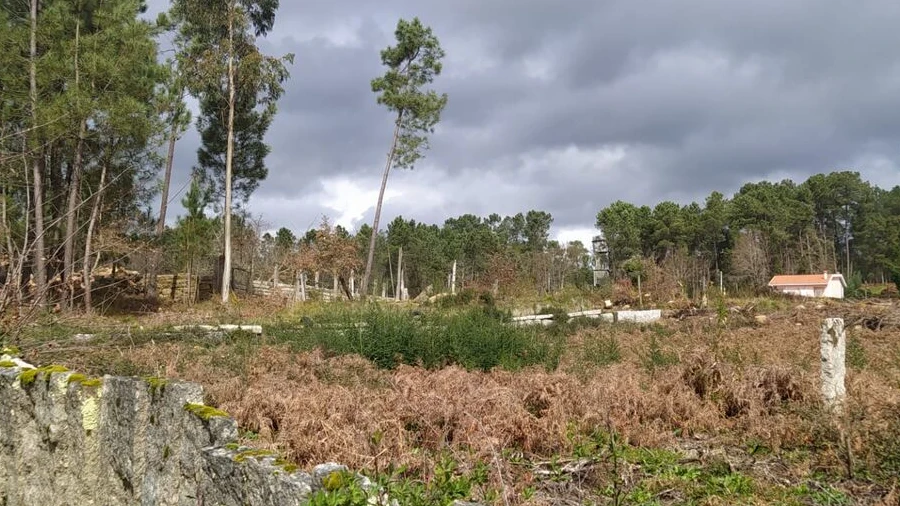 Terreno para Venda em Pinheiros