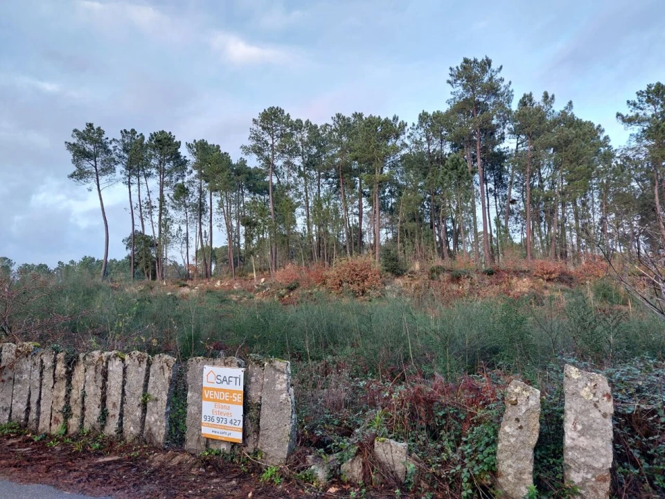 Terreno para Venda em Pinheiros Foto 5