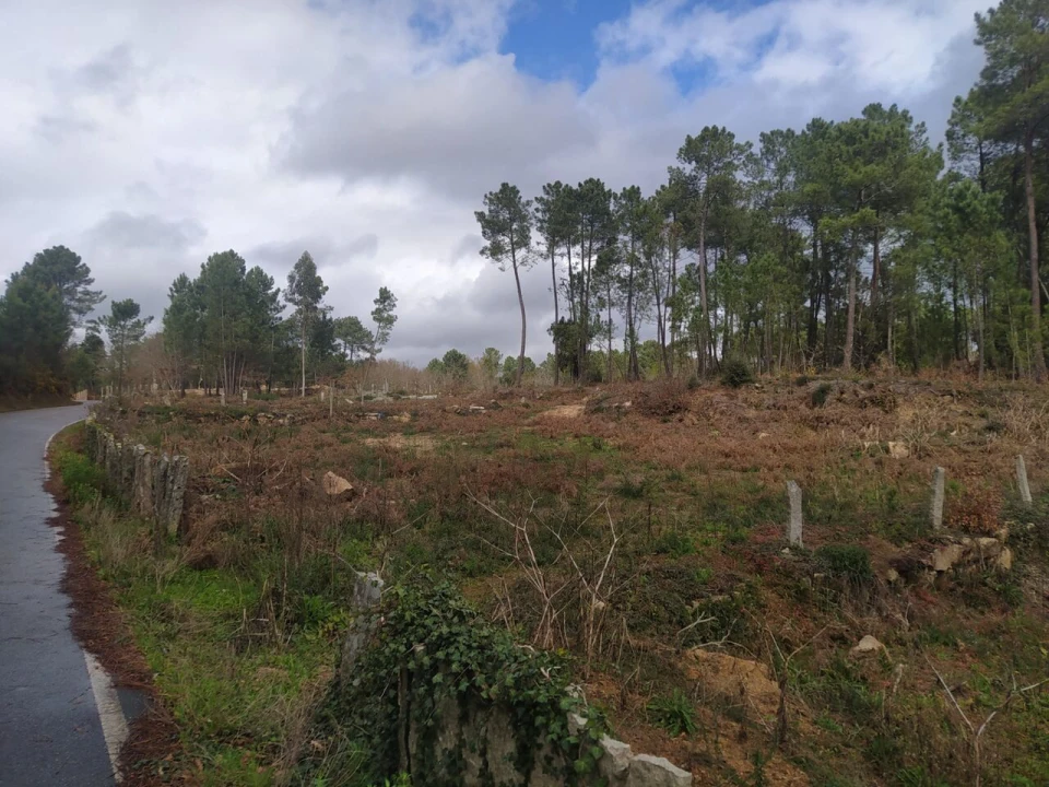 Terreno para Venda em Pinheiros Foto 6