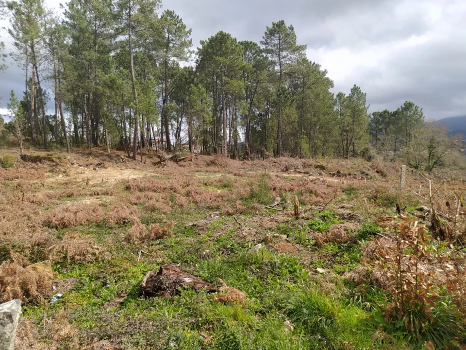 Terreno para Venda em Pinheiros Foto 7