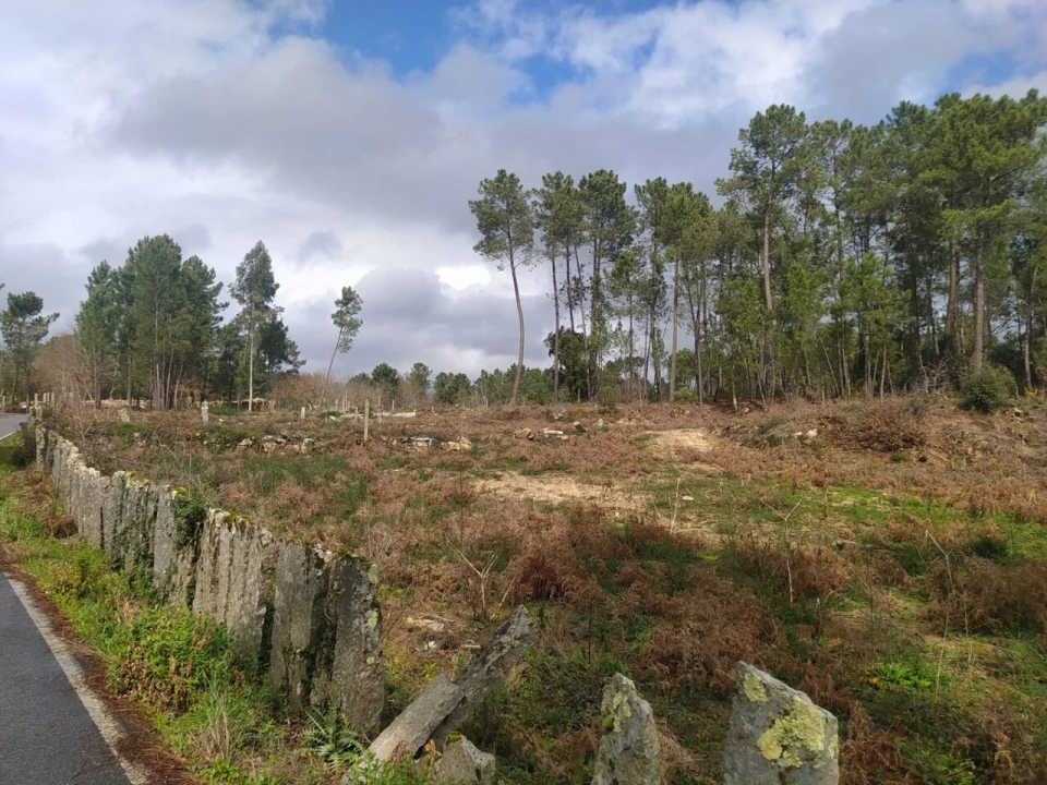 Terreno para Venda em Pinheiros Foto 8