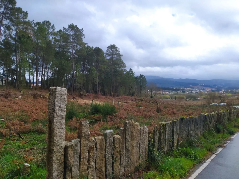 Terreno para Venda em Pinheiros Foto 9