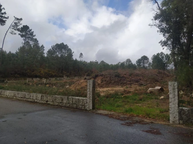 Terreno para Venda em Pinheiros Foto 3