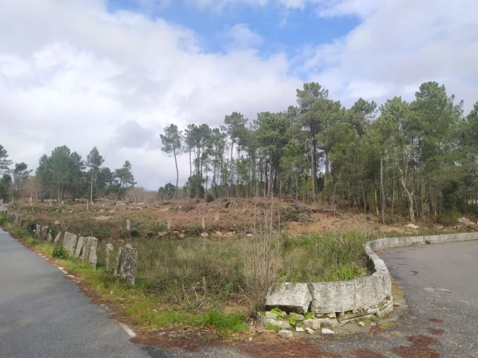 Terreno para Venda em Pinheiros Foto 2
